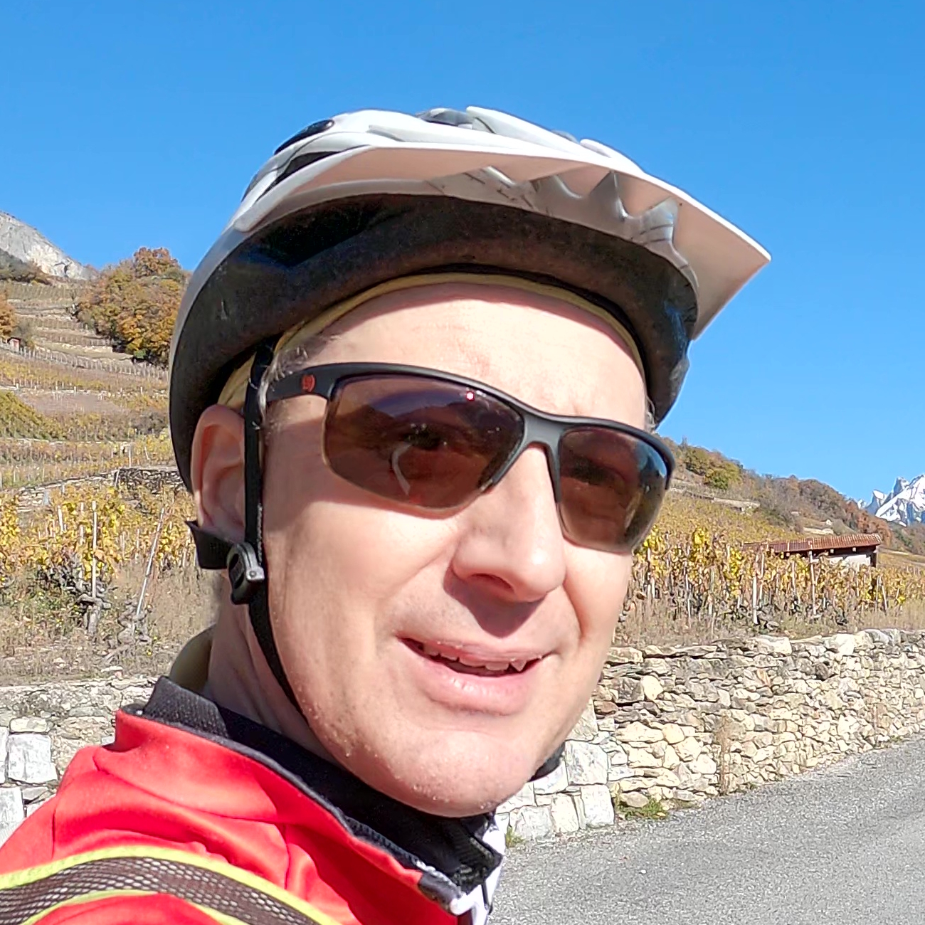 Auteur Reynald Passerini