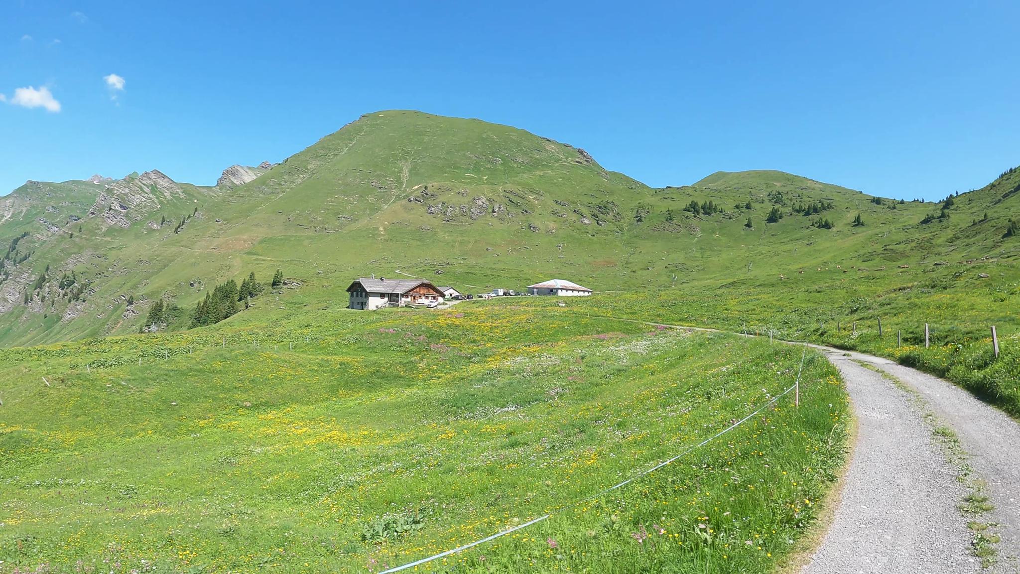 Isenau